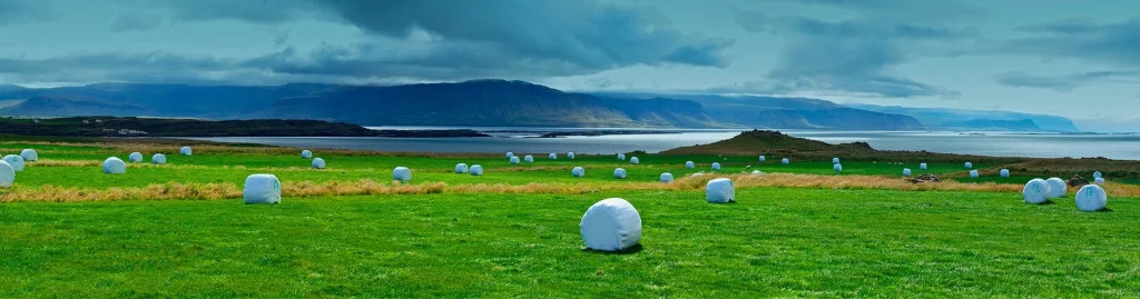 reciclaje de film agricola